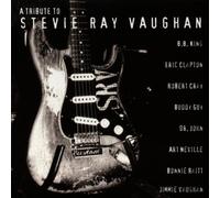 A Tribute to Stevie Ray Vaughan by Stevie Ray Vaughan (1996-08-05)