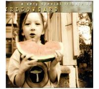 A Tribute To Yellowcard