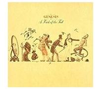 A Trick Of The Tail Vinyle