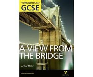 A View from the Bridge: York Notes for GCSE (Grades A*-G) Daly, Shay (Auteur)
