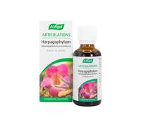 A. VOGEL - Complément alimentaire - Réduit les douleurs articulaires, les rhumastimes et favorise la circulation sanguine - Extrait de Plante Fraîche d'Harpagophytum - 50 ml