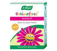 A.Vogel Echinaforce Immunité Extrait De Plante Fraîche Arôme Orange 120 Comprimés