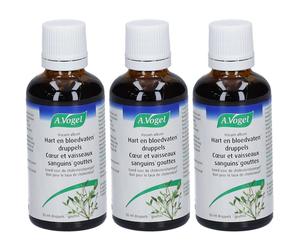 A.Vogel Viscum Album Coeur et vaisseaux sanguins Gouttes Goutte(S) 3x50 ml