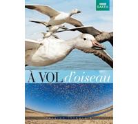 A Vol D'oiseau