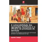 A vulnerabilidade dos agregados familiares e a eficácia da prestação de serviços: proposto pelo Ministério da Ação Social, da Promoção da Mulher e da Alfabetização do Togo