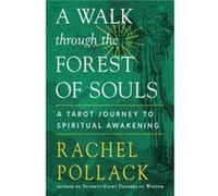 A Walk Through the Forest of Souls by Rachel Pollack Rachel Pollack (Auteur)