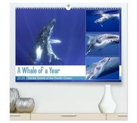 A Whale of a Year (High Quality Premium Wall Calendar 2026 DIN A2 landscape),CALVENDO 12 Month Wall Calendar: Dive into the magnificent underwater world of the gracious humpback whales.