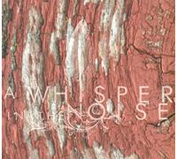 A Whisper in the Noise - To Forget