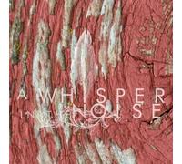 A Whisper in the Noise - to Forget [Import]