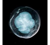 A Winged Victory for Sullen - The Undivided Five