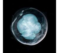 A Winged Victory for Sullen - The Undivided Five (EDT.) [Import]