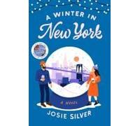 A Winter In New York