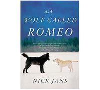 A Wolf Called Romeo