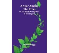 A Year Among The Trees