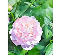 A Year in Bloom: Journal: Vine Street Design Co. x Blooms on Vine Watercolor Series