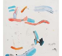 Year With 13 Moons (Dlcd)