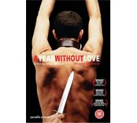 A Year Without Love