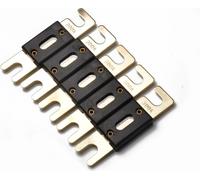 A0110 5 PCS 300A Gold-plated large forked car ANL fuse (fusible ANL à fourche)
