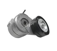 A09E-5072440AB Ensemble tendeur de courroie, roue de tension du moteur compatible avec Jeep Liberty KJ 2.8L 2002-2007
