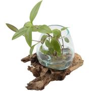 A12 Vase en verre recyclé et racine de teck fait à la main - Diamètre : 12 cm - Hauteur : 14 cm