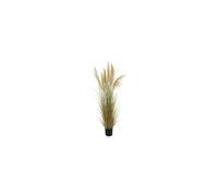 A2PAIR24-G03-Herbe de la pampa séchée beige et verte artificielle en PVC - 22 x 20 x 205 cm