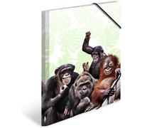 A3 Exotic Animals Monkey Band Solid Plastic Folder With Printed Inner Flaps Elastic Binding,1 Children's Document Holder