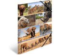 A3 Lion Children's Folders Pack Of 3 Cardboard With African Animal Design Elastic Inner Flap And Inner Print For Boys And Girls