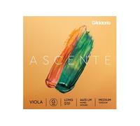 A413 LM - Corde seule (sol) alto Ascenté, diapason long, Medium