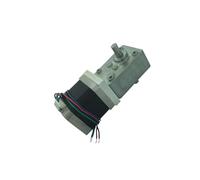 A58SW-42BYS 12V DC electronic starter Worm Stepper Gear electronic starter 24V Reduction electronic starter Double Output Shaft High Torque Synchronizable Self-locking MQXFCZUX(Ratio 1-17, Package B)