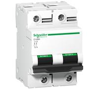 A9n18459 Schneider C120h Disjoncteur Bipolaire Schneider 125 A - 2p - Courbe C -