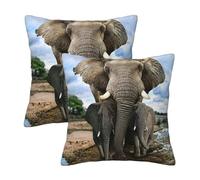 AABSTBFM Lot de 2 housses de coussin carrées modernes avec imprimé animaux sauvages africains éléphants 45 x 45 cm pour décoration d'intérieur, canapé, chambre à coucher, canapé
