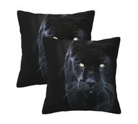 AABSTBFM Lot de 2 housses de coussin carrées modernes avec imprimé panthère aux yeux bleus - 50 x 50 cm - Pour décoration d'intérieur, canapé, chambre à coucher, canapé