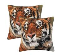 AABSTBFM Lot de 2 housses de coussin carrées modernes imprimées tigre mignon (2) 30 x 30 cm pour décoration d'intérieur, canapé, chambre à coucher, canapé