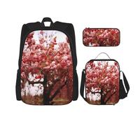 AABSTBFM Lot de 3 sacs à dos d'école avec sac à déjeuner et trousse à crayons - Motif Père Noël, Cerisier, Taille unique, Sacs à dos de jour