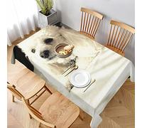 AABSTBFM Nappe rectangulaire 228 x 152 cm - Imprimé caniche français - Lavable - Imperméable - Sans plis - Décoration de table