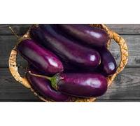 Aamish 100pcs oeuf violet