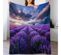 AAPZY Couverture Belle Lavande, Flannel Couverture De Canapé Housse De Chaise Décorative pour Canapé-Lit Soft Chair, Pattern Couverture Chaude Et Confortable （180×200cm）