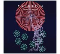 Aarktica – We Will Find The Light – Vinyle LP neuf coloré, pochette gatefold – Victrola