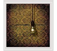 Aaron Zimmer - Live Wires