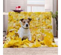 AASIRA Couverture 3D Jack Russell Terrier Douce et Chaude Moelleuse Flanelle Plaid Couverture pour Adultes, Chien Animal Couverture Polaire 150x200cm 2 Personnes Couvre lit Jeté De Canapé