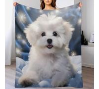 AASWDDS Bichon frisé Couverture Douce Et Chaude Confortable en Flanelle Couverture De Canapé Couvertures Facile À Manipuler 130×180cm