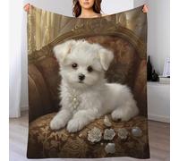 AASWDDS Bichon frisé Couverture pour Adultes Et Enfants, Flannel, Couvertures Douce Et Moelleuse, pour Canapé-lit Et Sofa 150×200cm