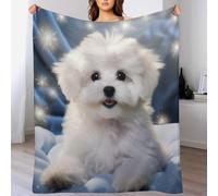 AASWDDS Bichon frisé Douce Couverture Flannel Polaire Également Parfaite comme Couvertures De Séjour, De Canapé 150×200cm