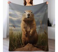 AASWDDS Couverture Marmotte - Douce en Flannel Couvertures Convient À Toutes Les Saisons pour Voyager, Lit Ou Canapé 130×180cm