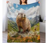 AASWDDS Couverture marmotte en Flannel Polaire Douce Chaude Facile À Manipuler pour Lit Canapé Chambre Balcon Bébé Feuteille 100×130cm