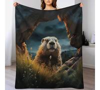 AASWDDS Couverture marmotte en Flannel Polaire Douce Chaude Facile À Manipuler pour Lit Canapé Chambre Balcon Bébé Feuteille 150×200cm