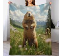 AASWDDS Impression des Marmotte Couverture en Flannel Super Doux Non Rejet Couvertures Polaire en Peluche Ultra Luxueuse 150×200cm