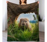 AASWDDS Marmotte Couverture Duveteuse Douce Légère Couvertures en Peluche Souple pour Lit Sofa Canapé-lit 100×130cm