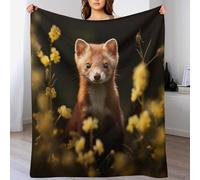 AASWDDS Vison Chaudes Couverture en Polaire Flannel Légères Couvertures Toutes Saisons pour Voyager, Lit Ou Canapé 150×200cm