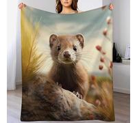 AASWDDS Vison Couverture Flannel Douce Et Chaude, Entretien Facile À La Machine, pour Voyager, Lit Ou Canapé 150×200cm